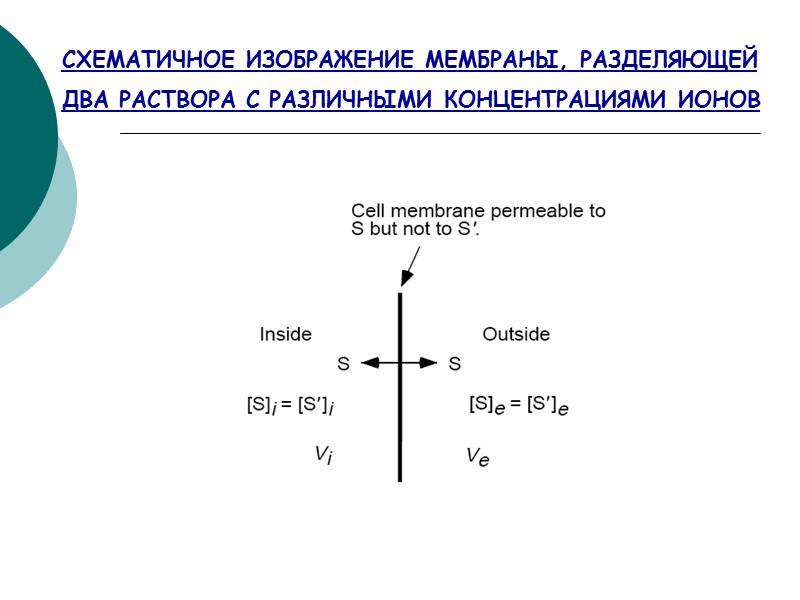 СХЕМАТИЧНОЕ ИЗОБРАЖЕНИЕ МЕМБРАНЫ, РАЗДЕЛЯЮЩЕЙ  ДВА РАСТВОРА С РАЗЛИЧНЫМИ КОНЦЕНТРАЦИЯМИ ИОНОВ